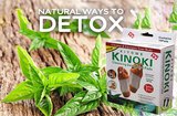 Пластири за детоксикация Kinoki Detox Pads-Други