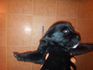 Продавам кученца Черен Лабрадор | Кучета  - Пловдив - image 2