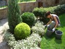 Фирма за озеленяване и аранжиране на градини и дворове | Озеленяване  - Стара Загора - image 2