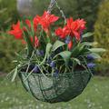 Метални висящи кошници за цветя-Дом и Градина