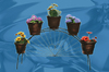 Метални висящи кошници за цветя | Дом и Градина  - София-град - image 10