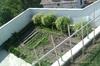 Продавам къща - гр.Варна над вятърна мелница | Къщи  - Варна - image 8