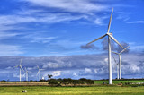 Green World Group предлага: нови и втора употреба вятърни генератори-Други