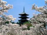 Екскурзия Сакура – нежната магия на Япония-В чужбина
