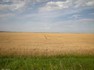 Купувам земеделска земя в област Монтана в селата .......... | Земеделска Земя  - Монтана - image 0