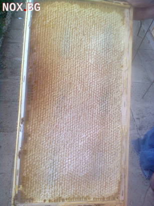 Пчелни многокорпусни (ЛР) пластмасови полуизградени основи | Аксесоари | Бургас