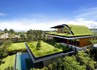 Вертикално, хоризонтално и покривно озеленяване от Лилия | Озеленяване  - София-град - image 3