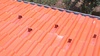 Ремонт на покриви | Работа в Страната  - София-град - image 2