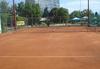 Тенис уроци за деца, юноши и възрастни | Курсове  - София-град - image 2