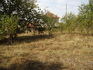 Два парцела в с. Лесура, обл. Враца, с прилежащи постройки | Къщи  - Враца - image 1