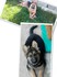 Немски овчарки | Кучета  - Сливен - image 2