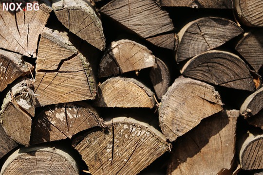 Дърва за огрев и въглища | Други | Ямбол