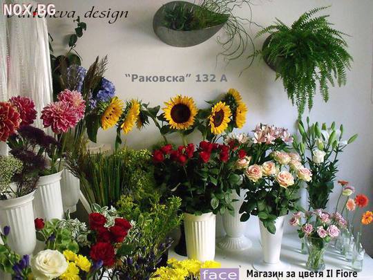 МАГАЗИН за цветя Il Fiore - Valtcheva design Раковска 132А | Други | София-град