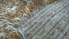 Комплект родопски вълнени губери (тип | Други  - София-град - image 2