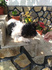 Лагото Романьоло - Кучета за трюфели | Кучета  - Търговище - image 7