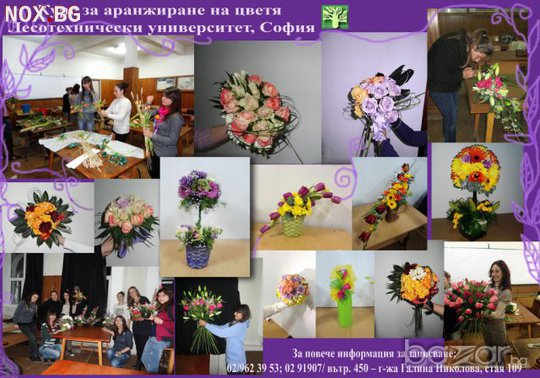 Курс за аранжиране на цветя към ЛТУ - януари 2017 | Курсове | София-град