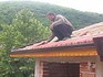Асфалтиране-Ремонт на покриви-СМР | Строителни  - Бургас - image 1