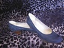 Дамски обувки №37, от немската фирма Jana | Официални Дамски Обувки  - Варна - image 2