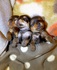 Продавам две сладки, малки, пухкави Йоркита | Кучета  - София-град - image 11