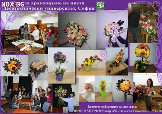 Професионален курс за аранжиране на цветя към ЛТУ  есен 2019 | Курсове | София-град
