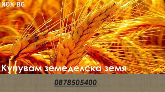 Купувам земеделски земи в област Пловдив в селата....... | Земеделска Земя | Пловдив