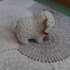 Малка плюшена овца с рога декорация за дом беседка | Детски Играчки  - Добрич - image 2
