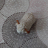 Малка плюшена овца с рога декорация за дом беседка | Детски Играчки  - Добрич - image 4