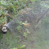 Дюза накрайник регулируема струя за мъгла градинска пръскачка | Дом и Градина  - Добрич - image 1