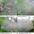 Дюза накрайник регулируема струя за мъгла градинска пръскачка | Дом и Градина  - Добрич - image 14
