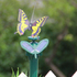 Градинска соларна летяща пеперуда декорация за градина балко | Дом и Градина  - Добрич - image 2