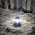 Сгъваем соларен фенер за градина къмпинг лампа с дръжка 5 Le | Лов и Риболов  - Добрич - image 3
