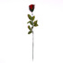 Изкуствена червена роза за декорация прибрана 62см | Дом и Градина  - Добрич - image 4