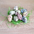 Великденски шарени яйца с тревичка в кутийка | Дом и Градина  - Добрич - image 5