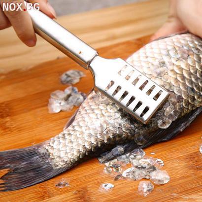 Метален прибор за почистване на риба | Дом и Градина | Добрич