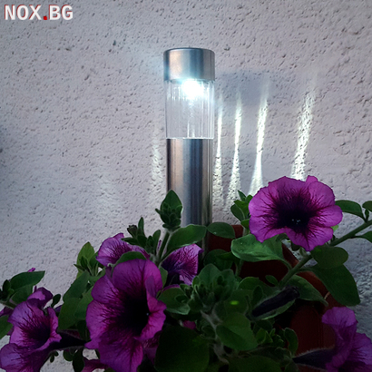 Градинска соларна лампа цилиндрична бяла светлина | Дом и Градина | Добрич