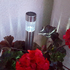Градинска соларна лампа цилиндрична бяла светлина | Дом и Градина  - Добрич - image 6