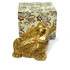 Сувенир Фън шуй статуетка трикрака жаба на парите и късмета | Други  - Добрич - image 3
