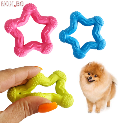 Гумена играчка за куче звезда играчка за дъвчене | Аксесоари | Добрич