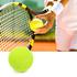 1525 Топка за тенис на корт топче за тенис AOSHIDAN 828 | Други  - Добрич - image 3