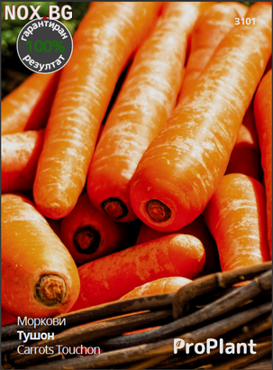 Семена за Моркови Тушон, ProPlant, 5 гр | Дом и Градина | Плевен