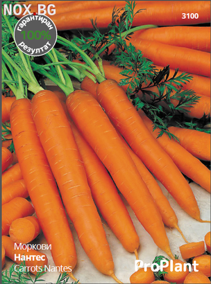 Семена за Моркови Нантес, ProPlant, Комплект 10 бр. опак. | Дом и Градина | Плевен