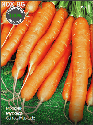 Семена за Моркови Мускаде, ProPlant, Комплект 10 бр. опак. | Дом и Градина | Плевен