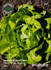 Семена за Салата Зимна Маслена Глава, ProPlant, 3 гр | Дом и Градина  - Плевен - image 0