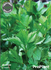 Семена за  Девесил, ProPlant, 1 гр. | Дом и Градина  - Плевен - image 0