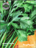 Семена за Целина Листна, ProPlant, 2 гр. | Дом и Градина  - Плевен - image 0