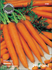 Семена за Моркови Нантес, ProPlant, 5 гр. | Дом и Градина  - Плевен - image 0