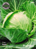 Семена за Зеле Кьосе, ProPlant, 5 гр. | Дом и Градина  - Плевен - image 0