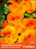 Семена за Латинка Оранжев Блясък, ProPlant, 2 гр. | Дом и Градина  - Плевен - image 0