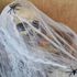 1142 Бяла Хелоуин паяжина за декор с 2 паяка Halloween декор | Дом и Градина  - Добрич - image 2