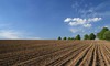 Купувам земеделска земя в община Павликени | Земеделска Земя  - Велико Търново - image 0